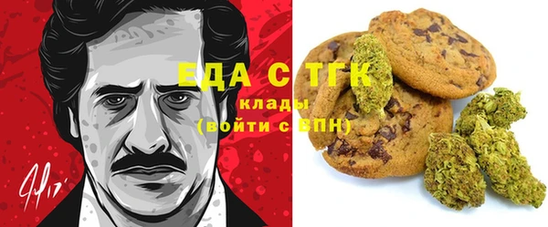 индика Приозерск