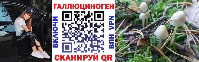 Псилоцибиновые грибы Psilocybe  Катав-Ивановск 